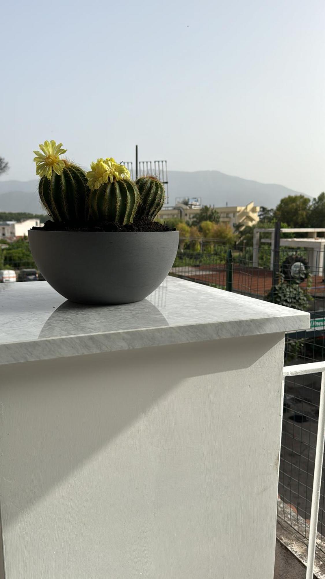 Vesuvius Pompeii B&B 외부 사진